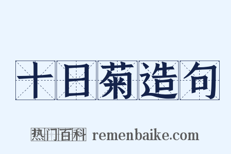 十日菊造句是什么意思的图片